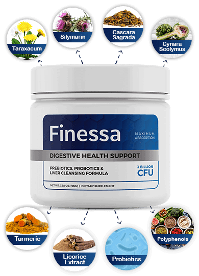 Finessa